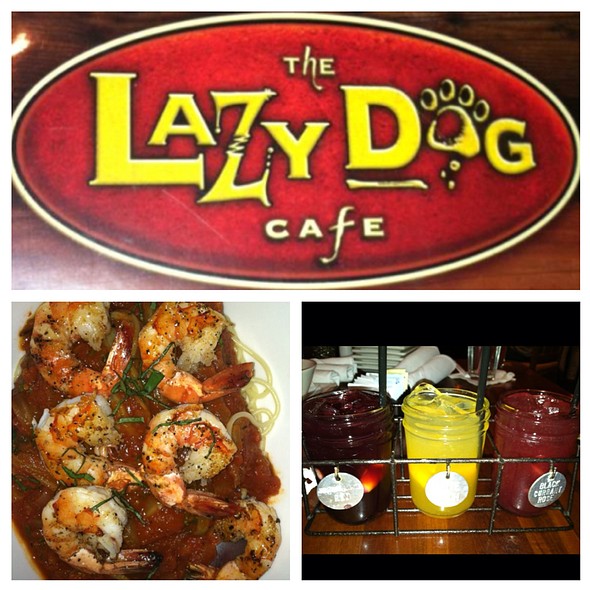 Lazy Dog Cafe Orange Ca Happy Hour Lazy Dog Cafe Orange Ca Happy Hour