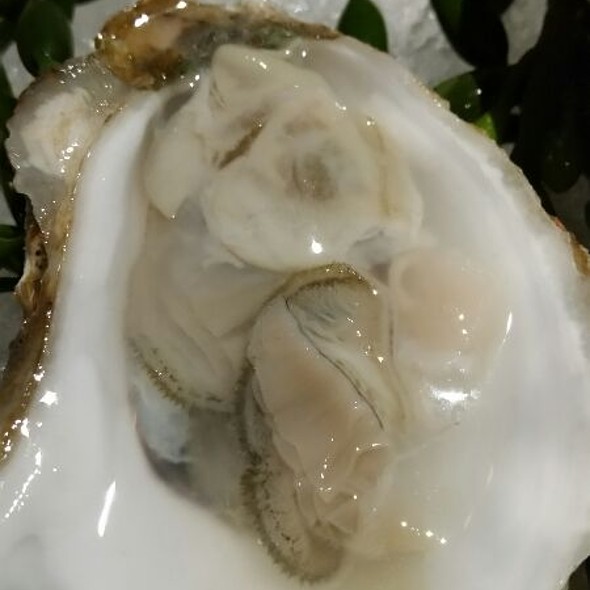 Truluck's Seafood, Steak and Crab House Miami Restaurant Miami, FL