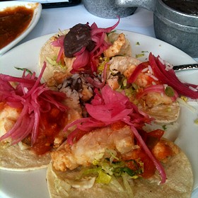 Mexican Restaurant Blue Back Square West Hartford Ct Mexican Restaurant Blue Back Square West Hartford Ct
