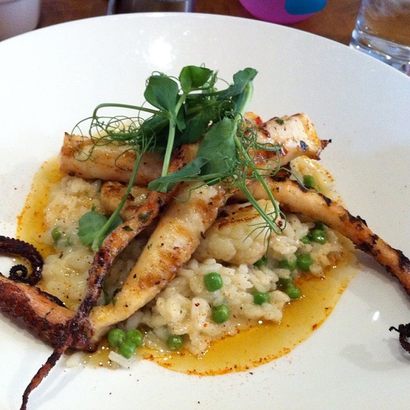 Sole Restaurant New Canaan, CT OpenTable