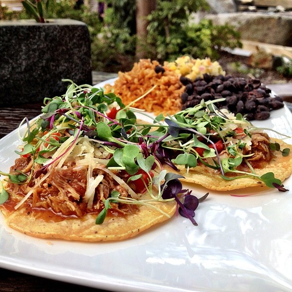 Stone Brewing World Bistro Gardens Restaurant Escondido Ca Opentable