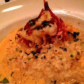 Il Fornaio San Jose Casan Jose Opentable