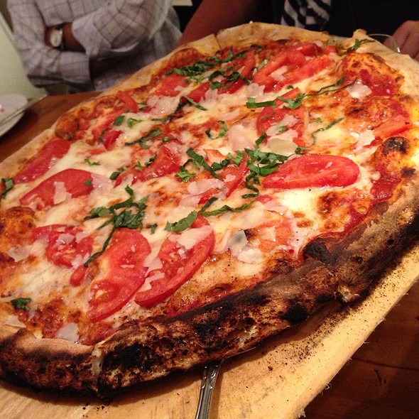 Primavera Pizza Kitchen Restaurant Primavera Pizza Kitchen Restaurant